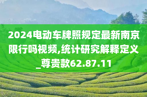 2024电动车牌照规定最新南京限行吗视频,统计研究解释定义_尊贵款62.87.11