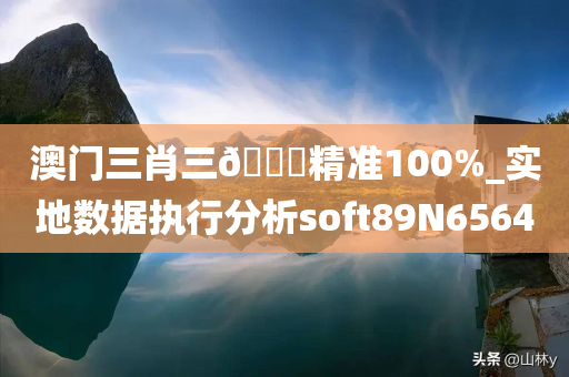 澳门三肖三🐎精准100%_实地数据执行分析soft89N6564