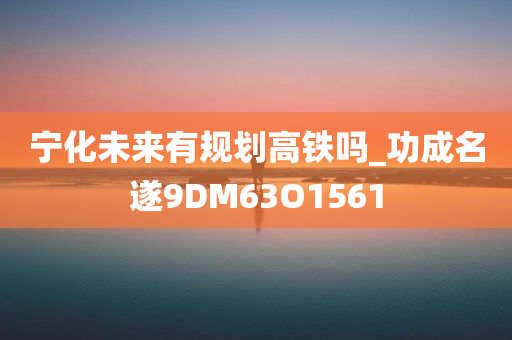 宁化未来有规划高铁吗_功成名遂9DM63O1561