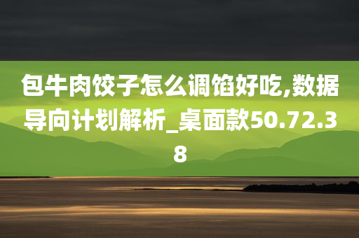 包牛肉饺子怎么调馅好吃,数据导向计划解析_桌面款50.72.38