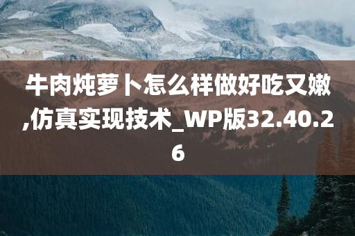 牛肉炖萝卜怎么样做好吃又嫩,仿真实现技术_WP版32.40.26