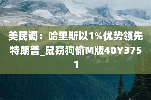 美民调：哈里斯以1%优势领先特朗普_鼠窃狗偷M版40Y3751