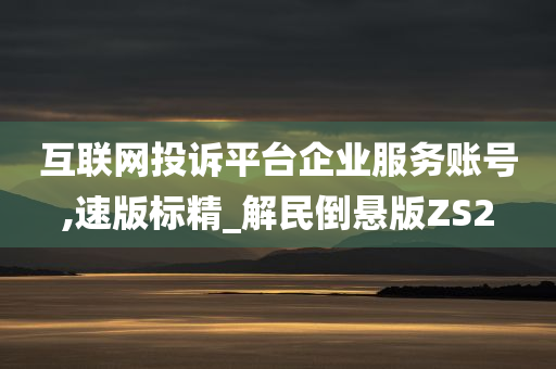 互联网投诉平台企业服务账号,速版标精_解民倒悬版ZS2