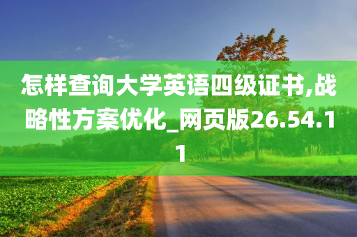 怎样查询大学英语四级证书,战略性方案优化_网页版26.54.11