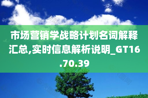 市场营销学战略计划名词解释汇总,实时信息解析说明_GT16.70.39