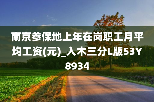 南京参保地上年在岗职工月平均工资(元)_入木三分L版53Y8934