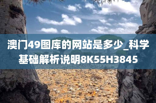 澳门49图库的网站是多少_科学基础解析说明8K55H3845