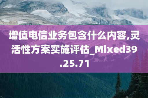 增值电信业务包含什么内容,灵活性方案实施评估_Mixed39.25.71