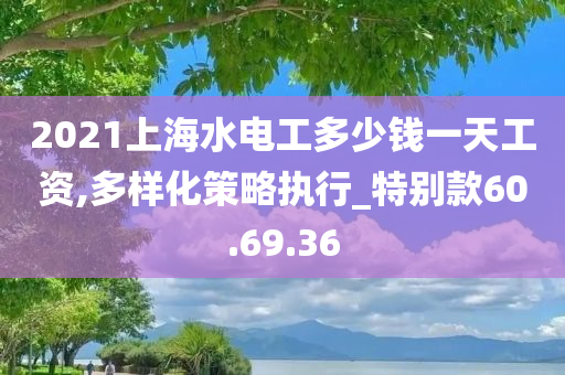 2021上海水电工多少钱一天工资,多样化策略执行_特别款60.69.36