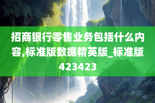 招商银行零售业务包括什么内容,标准版数据精英版_标准版423423