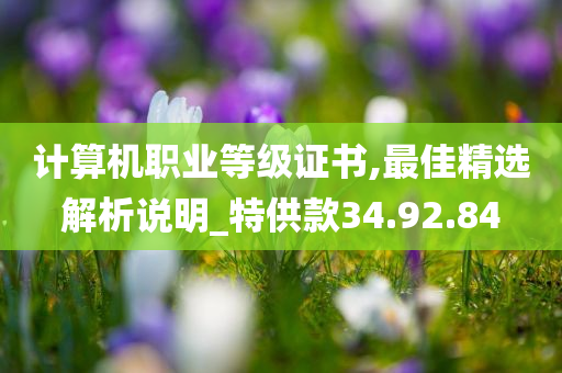 计算机职业等级证书,最佳精选解析说明_特供款34.92.84