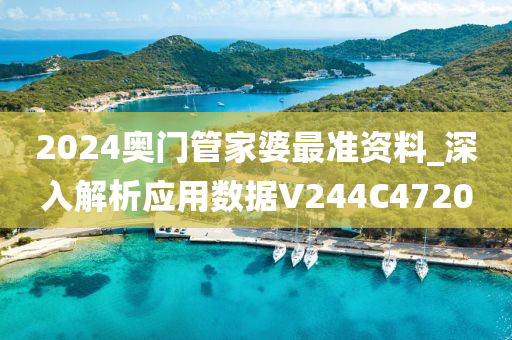 2024奥门管家婆最准资料_深入解析应用数据V244C4720