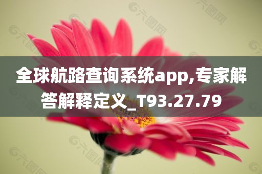 全球航路查询系统app,专家解答解释定义_T93.27.79