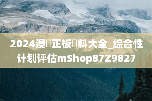 2024澳門正板資料大全_综合性计划评估mShop87Z9827