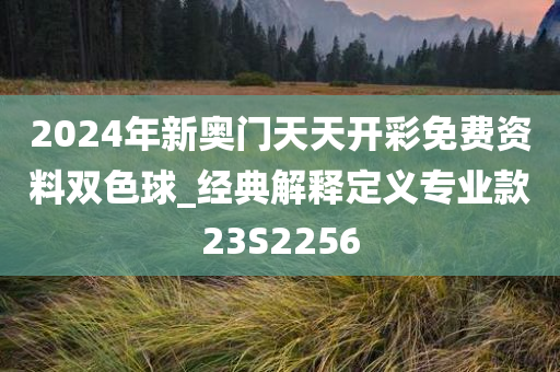 2024年新奥门天天开彩免费资料双色球_经典解释定义专业款23S2256