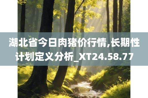 湖北省今日肉猪价行情,长期性计划定义分析_XT24.58.77