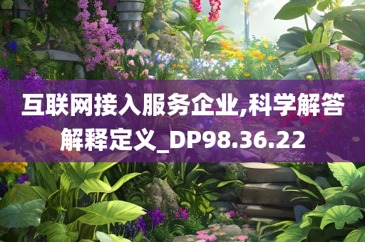 互联网接入服务企业,科学解答解释定义_DP98.36.22