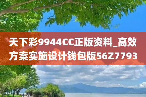 天下彩9944CC正版资料_高效方案实施设计钱包版56Z7793