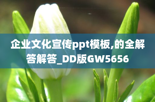 企业文化宣传ppt模板,的全解答解答_DD版GW5656