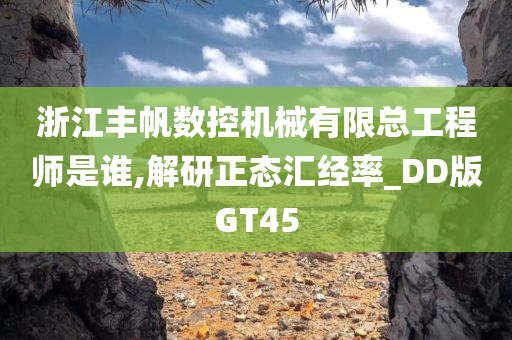 浙江丰帆数控机械有限总工程师是谁,解研正态汇经率_DD版GT45