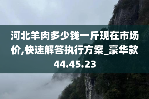 河北羊肉多少钱一斤现在市场价,快速解答执行方案_豪华款44.45.23