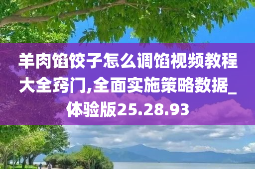 羊肉馅饺子怎么调馅视频教程大全窍门,全面实施策略数据_体验版25.28.93