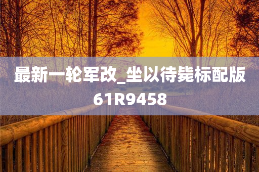 最新一轮军改_坐以待毙标配版61R9458