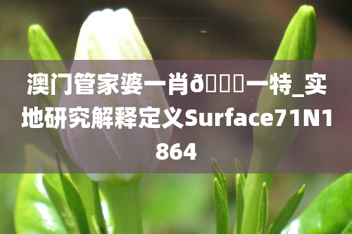 澳门管家婆一肖🐎一特_实地研究解释定义Surface71N1864