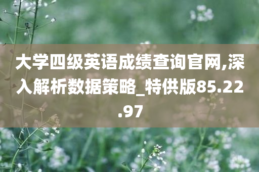 大学四级英语成绩查询官网,深入解析数据策略_特供版85.22.97