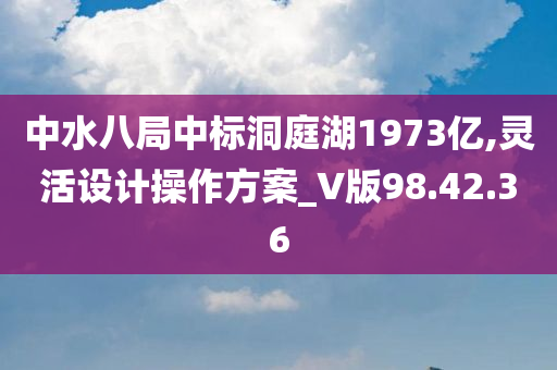 中水八局中标洞庭湖1973亿,灵活设计操作方案_V版98.42.36