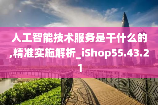 人工智能技术服务是干什么的,精准实施解析_iShop55.43.21