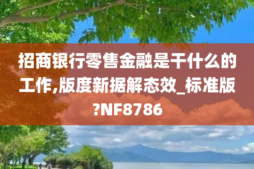 招商银行零售金融是干什么的工作,版度新据解态效_标准版?NF8786