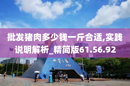 批发猪肉多少钱一斤合适,实践说明解析_精简版61.56.92