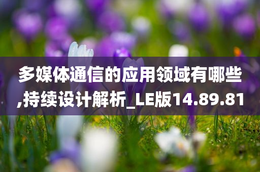 多媒体通信的应用领域有哪些,持续设计解析_LE版14.89.81