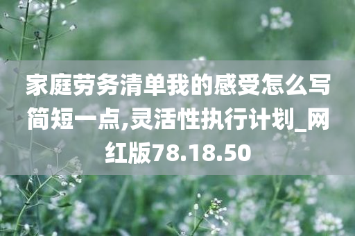 家庭劳务清单我的感受怎么写简短一点,灵活性执行计划_网红版78.18.50