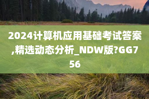 2024计算机应用基础考试答案,精选动态分析_NDW版?GG756