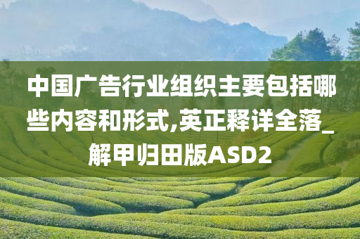 中国广告行业组织主要包括哪些内容和形式,英正释详全落_解甲归田版ASD2