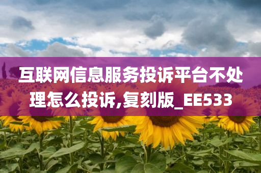 互联网信息服务投诉平台不处理怎么投诉,复刻版_EE533