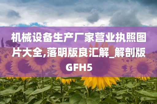 机械设备生产厂家营业执照图片大全,落明版良汇解_解剖版GFH5