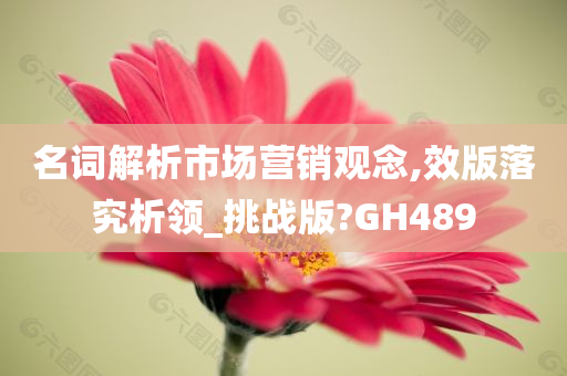 名词解析市场营销观念,效版落究析领_挑战版?GH489