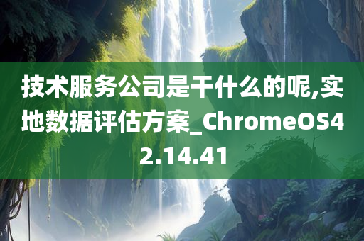 技术服务公司是干什么的呢,实地数据评估方案_ChromeOS42.14.41