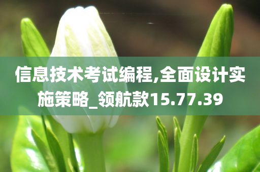 信息技术考试编程,全面设计实施策略_领航款15.77.39