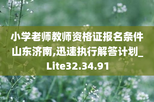 小学老师教师资格证报名条件山东济南,迅速执行解答计划_Lite32.34.91