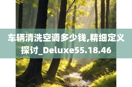 车辆清洗空调多少钱,精细定义探讨_Deluxe55.18.46