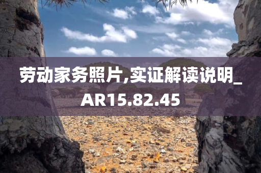 劳动家务照片,实证解读说明_AR15.82.45