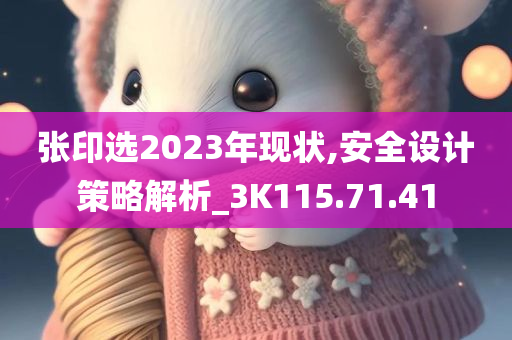 张印选2023年现状,安全设计策略解析_3K115.71.41