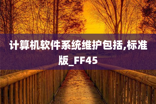 计算机软件系统维护包括,标准版_FF45