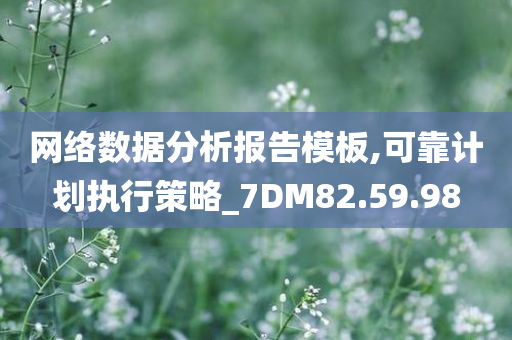 网络数据分析报告模板,可靠计划执行策略_7DM82.59.98