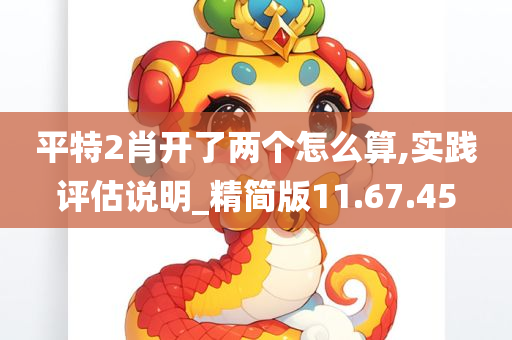 平特2肖开了两个怎么算,实践评估说明_精简版11.67.45