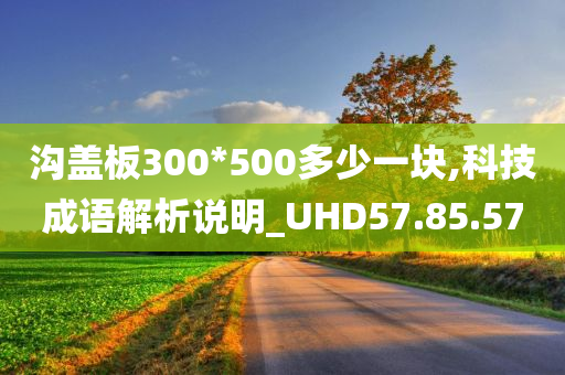 沟盖板300*500多少一块,科技成语解析说明_UHD57.85.57